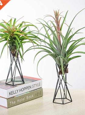 Nordic Style Air Plant Holder Metal Flower Pot Stand