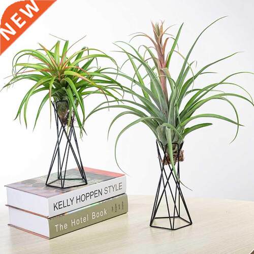 Nordic Style Air Plant Holder Metal Flower Pot Stand