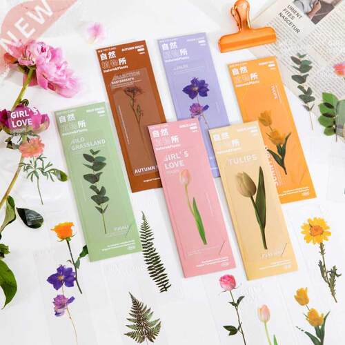 5 pcs/set Natural Plant flower leaves Series Bookmark PVC Re