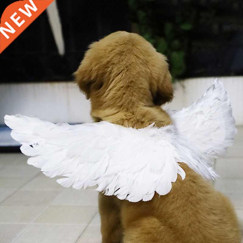 Funny Pet Halloween Feather Wings Pet Cosplay Angel Costume
