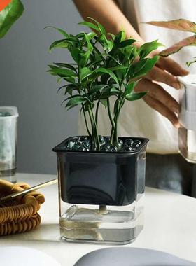 Self Waterng Plant Pot Flowerpot Hroponc Flower Pot Sol