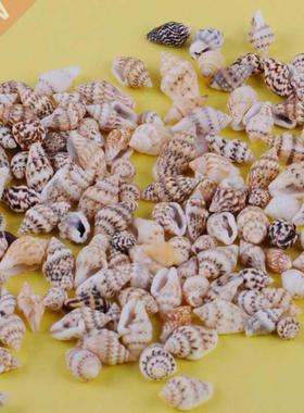 100pcs Small Sea Shells Assorted Natural Seashells Conch Cra