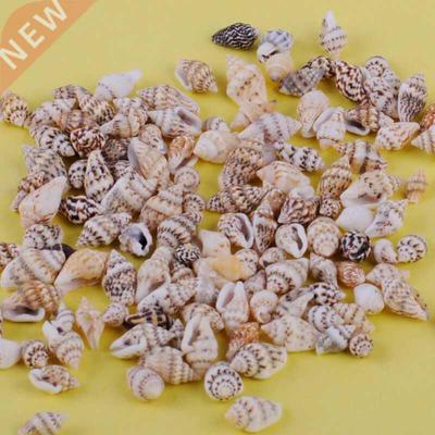 100pcs Small Sea Shells Assorted Natural Seashells Conch Cra
