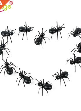 12Pcs ini Ant Fruit Fork Plastic Reusable Cherry Toato Too
