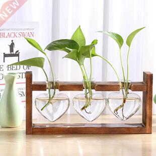 Glass Wood Vase Planter Terrarium Table Desktop Hydroponics