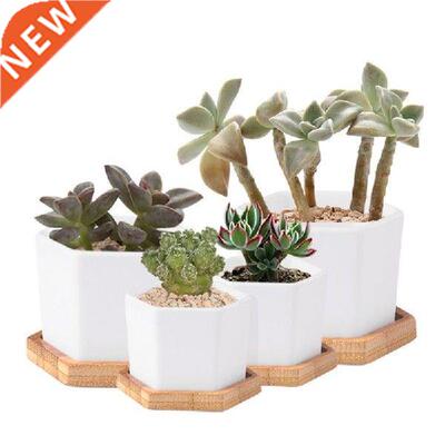 Nturl Bmboo Bowls Pltes for Succulents Pot Try Bse