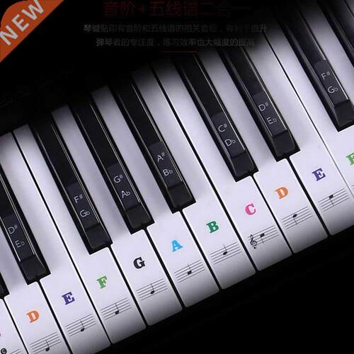 Transparent detachable music decal notes piano keyboard stic