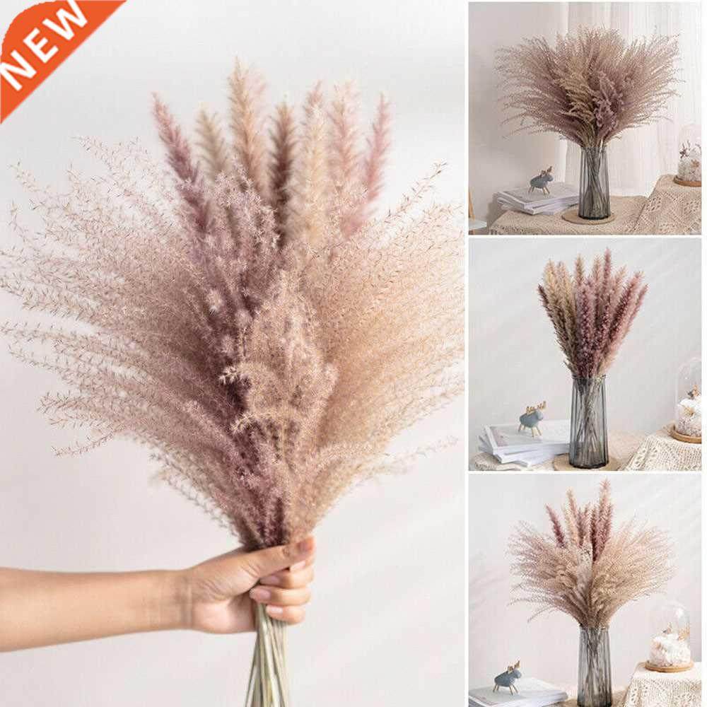 5 /30Pcs Dried Reed Flower Arrangement Natural Pampas Grass