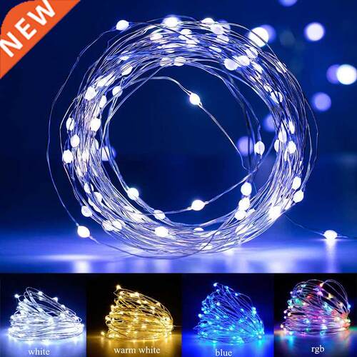 Christmas LED Fairy Lights USB/Battery Festoon Light Living