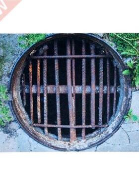 Funny D Traps Carpets Rugs Door Mat Kitchen Entrance Mat