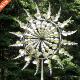 Outdoor Spinner Magical with Metal Windmill Wind