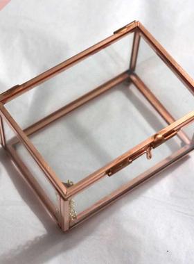Modern Clear Glass Cuboid Geometric Terrarium Jewelry Box