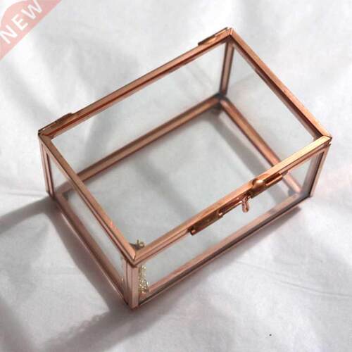 Modern Clear Glass Cuboid Geometric Terrarium Jewelry Box