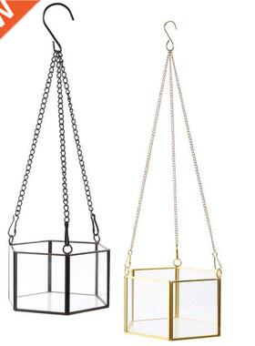 Modern Hanging Glass Terrarium Geometric Hexagon Shaped Succ