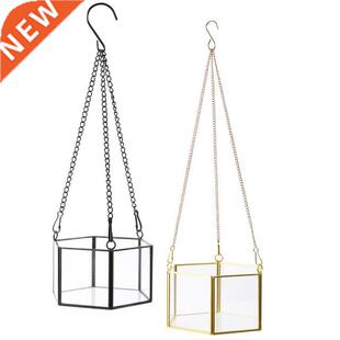Modern Hanging Glass Terrarium Geometric Hexagon Shaped Succ