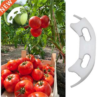 Reinforcement Clips Vegetables Green Plant Supporting Fixing