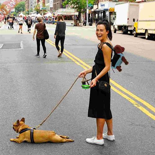 Legs Out Front Dog Carrier Pet Backpack Carrier Travel Bag