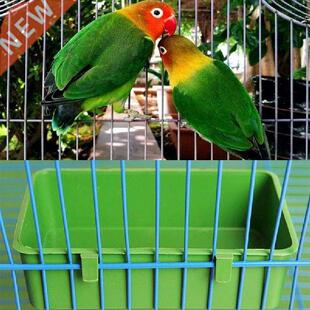 Cangkir Mangkuk Plastik Air Makanan Burung Beo Kandang