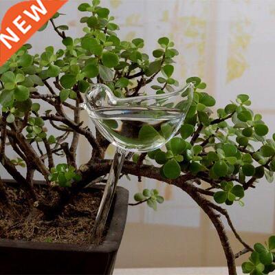 Transparent Bird Shape Plant Automatic Waterer Bulb Self