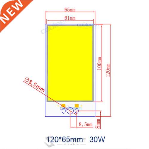 DC 12V COB Bulb LED Chip Panel Light 2W-300W All Size COB Mo