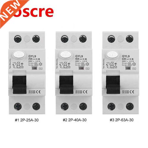 Residual Current Circuit Breaker with Leakage Lrotection 2P