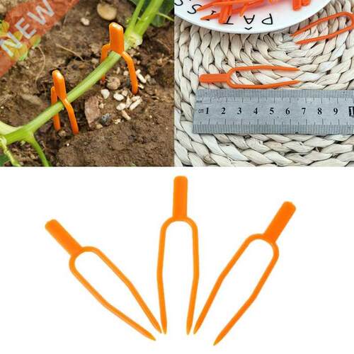 50pcs Plastic Plant Climbing Support Clips Plant Vine Holder