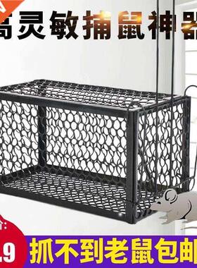 Commercial restaurants play catch rodents close mouse mouse