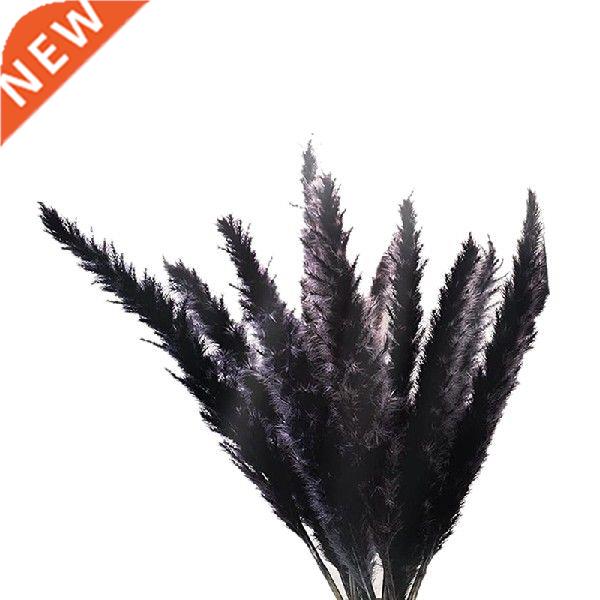 30Pcs Black Pampas Grass, 17 Inch Natural Dried Fluffy