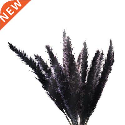 30Pcs Black Pampas Grass, 17 Inch Natural Dried Fluffy