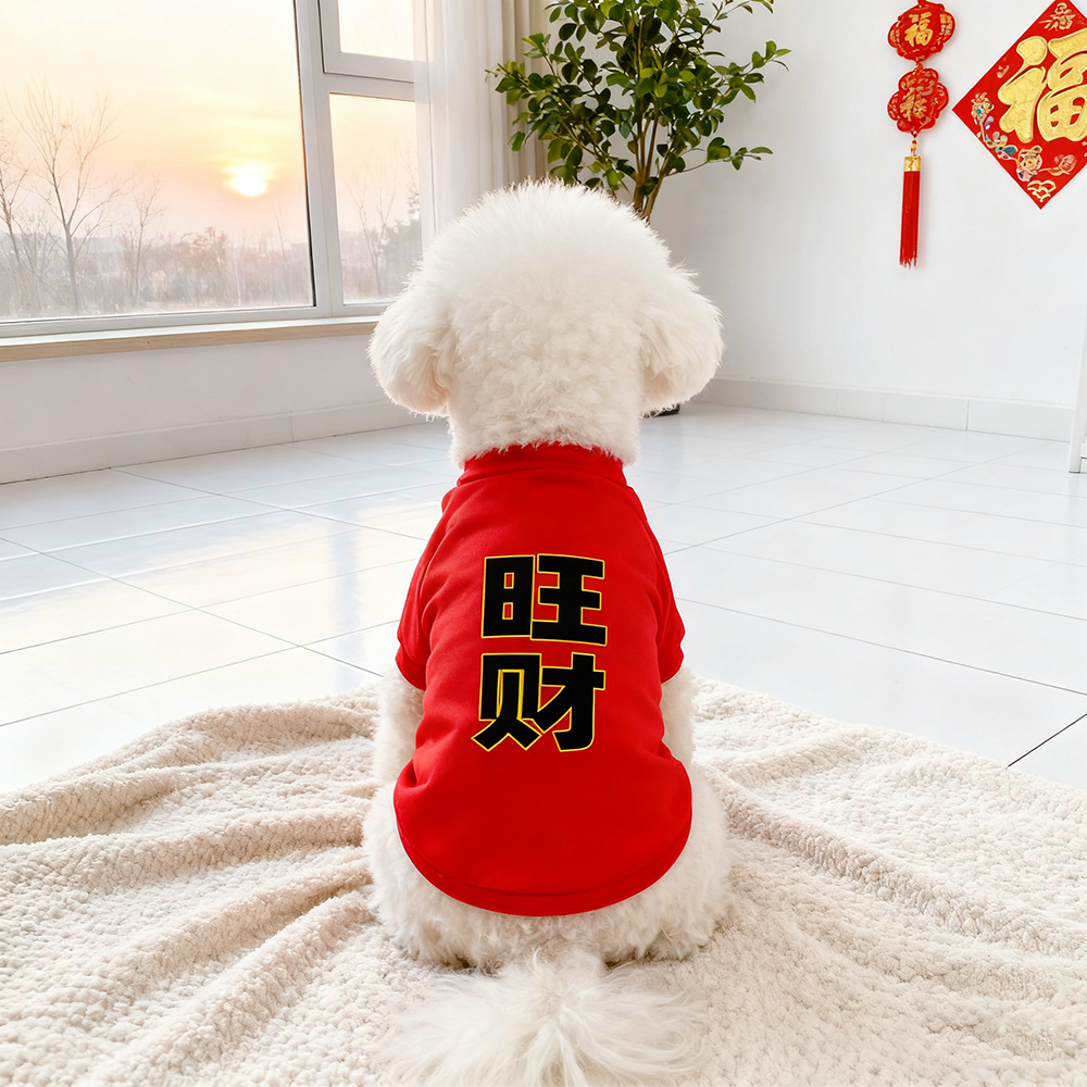 秋冬款加绒两脚狗狗卫衣外出宠物衣服泰迪比熊博美边牧土狗小型犬