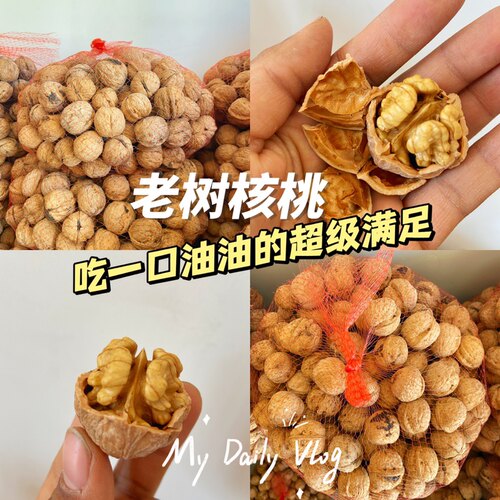 山西吕梁山老树核桃厚壳硬壳核桃2026年新自然晒干核桃农家核桃