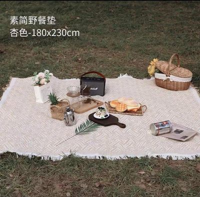春游垫子野餐垫ins风户外露营装备野炊加厚地垫拍照装饰用品桌布