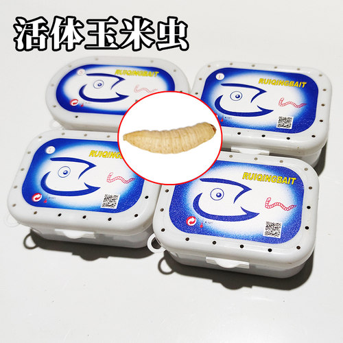 葡萄蜜玉米虫活体蜜虫葡萄密虫大蜡螟幼体钓饵鱼饵鸟虫活虫活鱼食