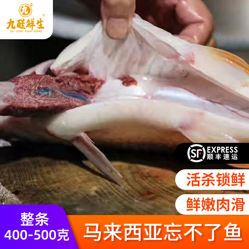 九醒鲜生盐鲜皇帝鱼整条400-500g