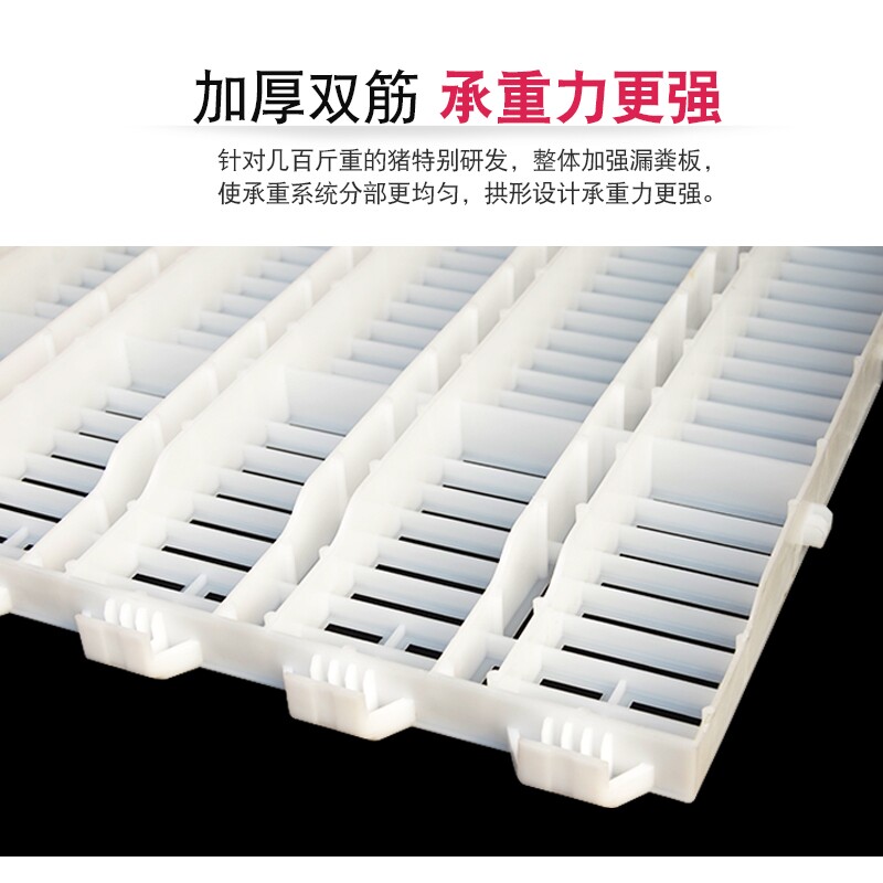仔猪塑漏粪板猪用产床粪板接仔猪漏保育床粪料板养殖养猪设备粪板