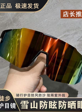 雪地登山护目镜骑行墨镜多功能防护镜防风徒步防紫外线太阳眼镜