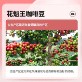 250克 单品咖啡豆花魁150克 新店限时购 摸鱼家