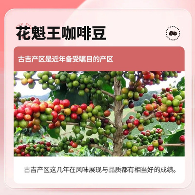 埃塞俄比亚花魁免费样品花果香