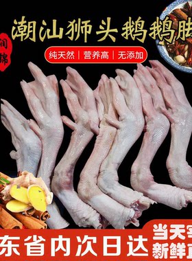 潮汕狮头鹅  澄海狮头鹅 狮头鹅 鹅脚 生鲜 新鲜 现杀 鹅掌 特价