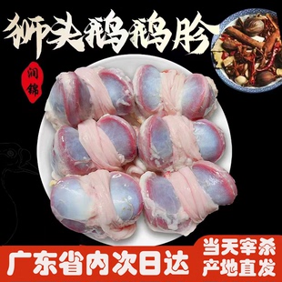 潮汕澄海狮头鹅新鲜鹅肫鹅肾鹅胗生鲜 鲜鹅 鹅胗 鹅胃 鹅腱1斤