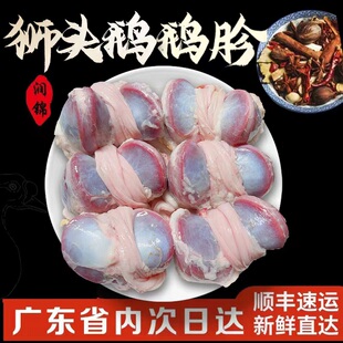潮汕澄海狮头鹅新鲜鹅肫鹅肾鹅胗生鲜 鲜鹅 鹅胗 鹅胃 鹅腱1斤