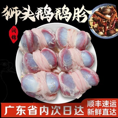 潮汕澄海狮头鹅新鲜鹅肫鹅肾鹅胗生鲜 鲜鹅 鹅胗 鹅胃 鹅腱1斤