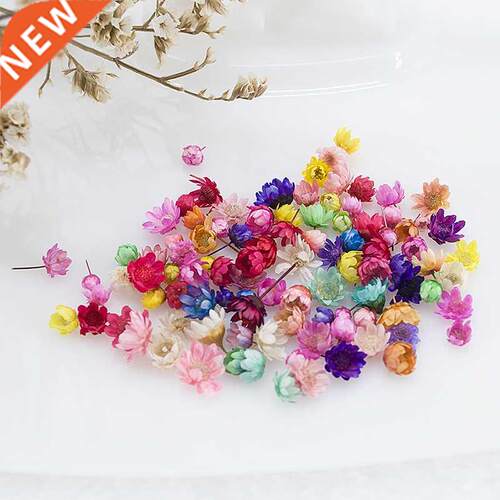 100/200pcs Dried Flowers Head Dry Daisy Plants for Epoxy Res