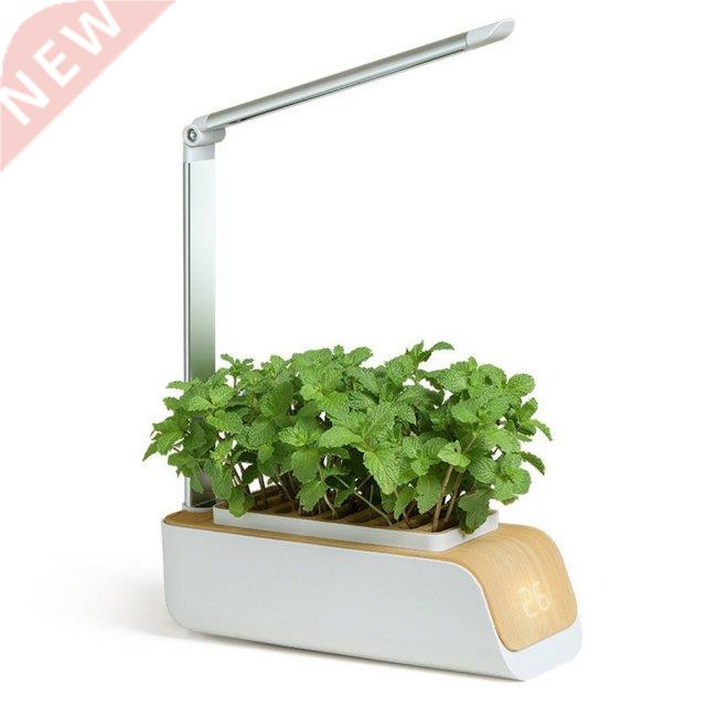 Hot Newest Intelligent Vegetable Planting Machine Soilless C