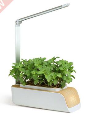 Hot Newest Intelligent Vegetable Planting Machine Soilless C