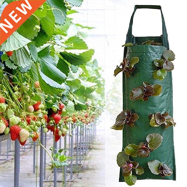 Strawberry Planting Bags wall hanging vertical Garden