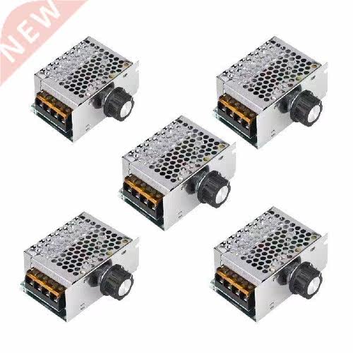 Professional Voltage Regulator 4000W High Power AC 220V