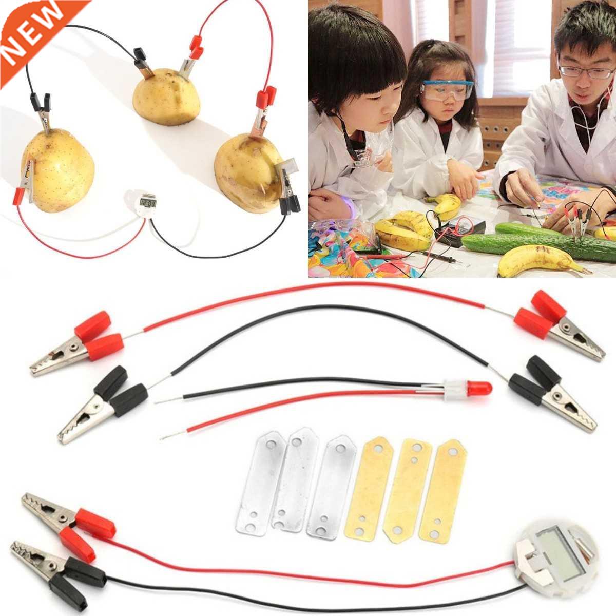 Biologia Energy Generate Electricity Science Experiment Educ-封面