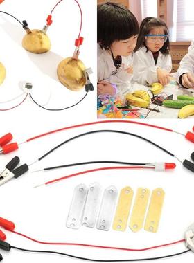 Biologia Energy Generate Electricity Science Experiment Educ