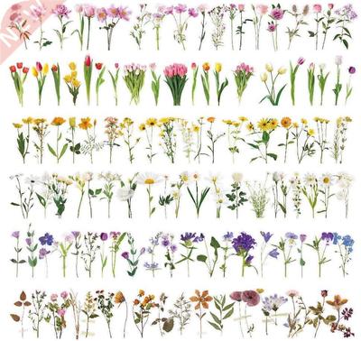 Flower sticker waterproof transparent PET ledger